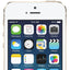 Shop Apple iPhone 5s 16GB Gold in UAE