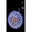 Buy SAMSUNG Galaxy S9 (Midnight Black) in Dubai, Abu Dhabi and Sharjah