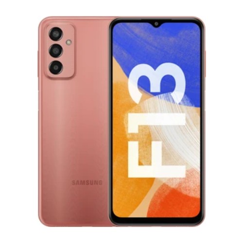 Samsung Galaxy F13 2022