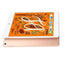 Apple iPad (5th generation) WiFi 128GB in UAE