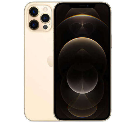 Buy iPhone 12 Pro Max 256GB Gold Online at Best Price