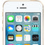pple iPhone SE (1st generation) 16GB Gold - Fonezone UAE