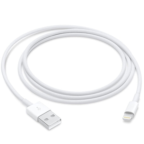 Today Delivery Apple Lightning to USB Cable (1m)