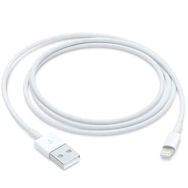 Today Delivery Apple Lightning to USB Cable (1m) in Dubai, UAE