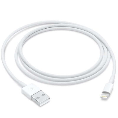 Today Delivery Apple Lightning to USB Cable (1m) in Dubai, UAE